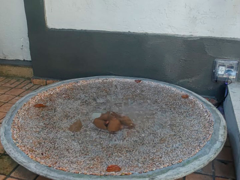 Dr. Leonardo Souza Medicina e Prevenção